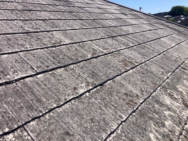 カビなどの腐食